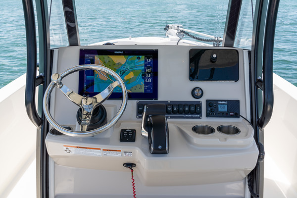 Boston Whaler 280 Dauntless фото 1.9