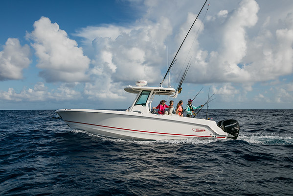 Boston Whaler 280 Outrage фото 1.5