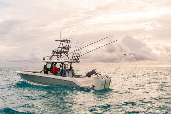 Boston Whaler 360 Outrage фото 1.7