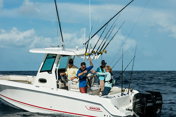 Boston Whaler 250 Outrage фото 1.2