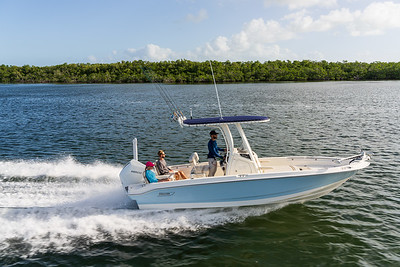 Boston Whaler