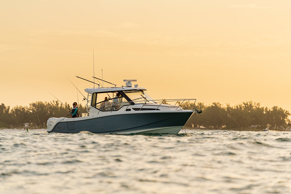 Boston Whaler 325 Conquest фото 1.7