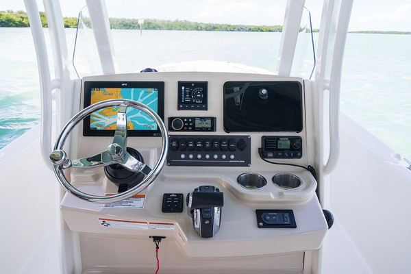 Boston Whaler 250 Dauntless фото 1.11