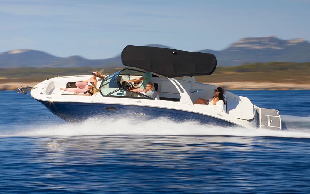 searay_2.jpg searay_2.jpg