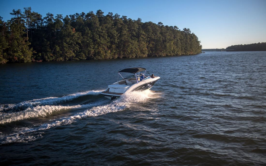 Sea Ray 230 SPX фото 1.7