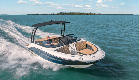Sea Ray  190 SPX