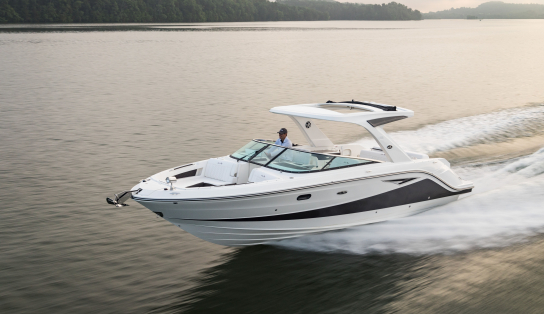 Sea Ray SLX 310/802