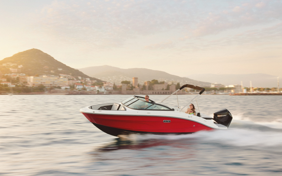 Sea Ray SPX 210 OB/871 (Outboard) фото 1.8