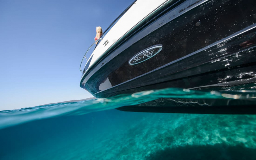 Sea Ray 230 SunSport фото 1.4