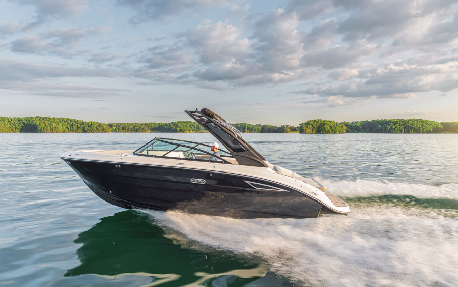 Sea Ray SDX 250 фото 1.6