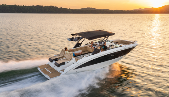 Sea Ray SDX 290/5269
