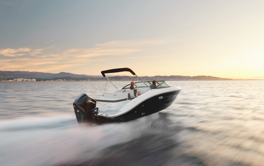 Sea Ray SPX 210 OB/871 (Outboard) фото 1.9