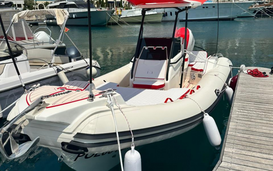 NUOVA JOLLY  Prince 24 EXCLUSIVE 2025 фото 1.5
