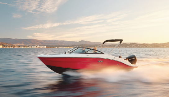 Sea Ray  SPX 210 OB (Outboard)