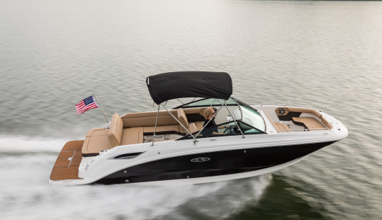 Sea Ray SDX 250/3671