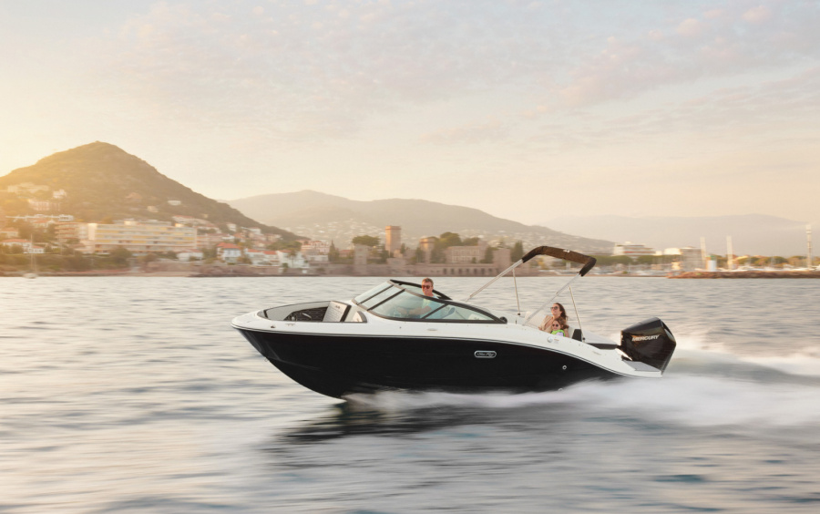 Sea Ray SPX 210 OB/871 (Outboard) фото 1.1