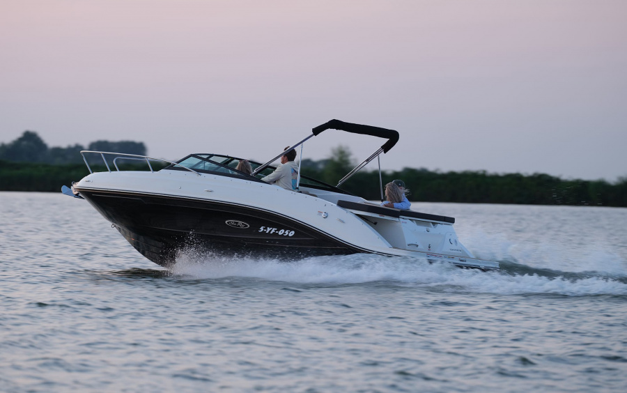 Sea Ray 230 SunSport/9381 фото 1.2